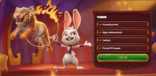 Magius Casino Registration Process 5 Magius Casino Registration Process 5
