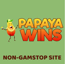 Papaya Wins Casino Registration Process 10 Papaya Wins Casino Registration Process 10