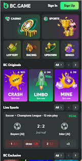 Experience the Thrill of Gaming at While Stake Casino Experience the Thrill of Gaming at While Stake Casino