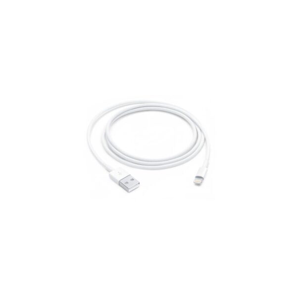 Apple Cavo Lightning  a USB 1 mt